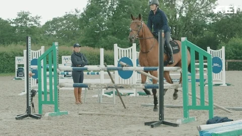 Riding Techniques